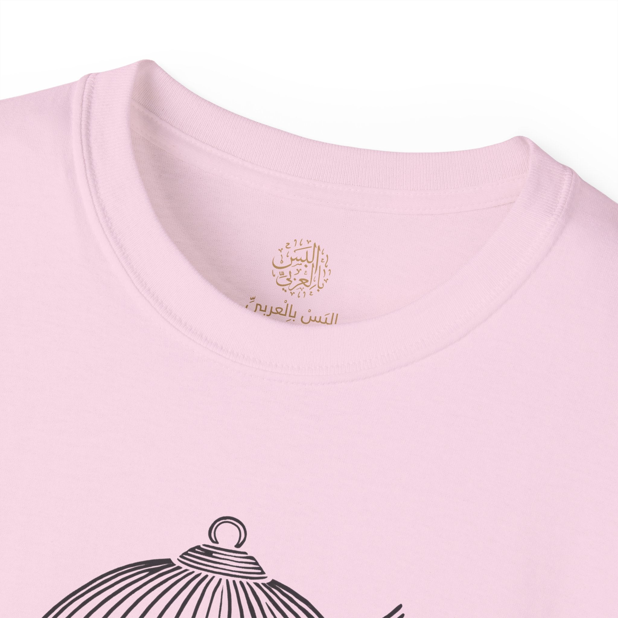 مَا كُل مَن ذَاق الصَّبابة مُغْرَمٌ - Not everyone who tastes longing is in love